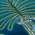 Island Global Yachting Campaign